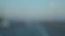 NGUYỄN TIẾN LÂM