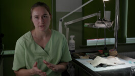 NGUYỄN TIẾN LÂM