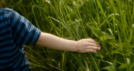 NGUYỄN TIẾN LÂM